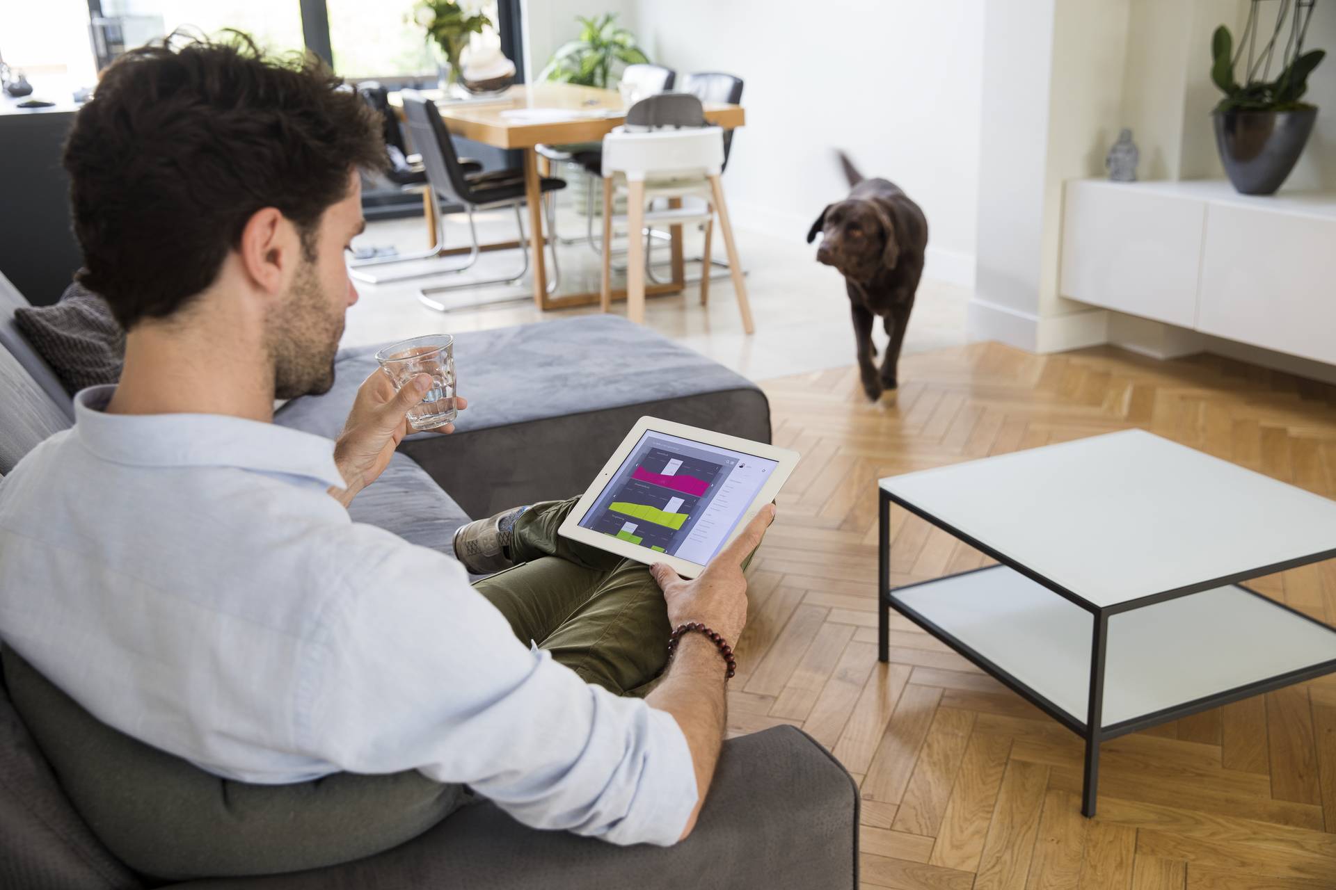 Man met tablet en hond Man met tablet en hond